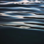 Fluid dynamics with calming tones